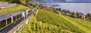 Scenic train passing through the vineyards of Montreux overlooking Lake Geneva in Switzerland
