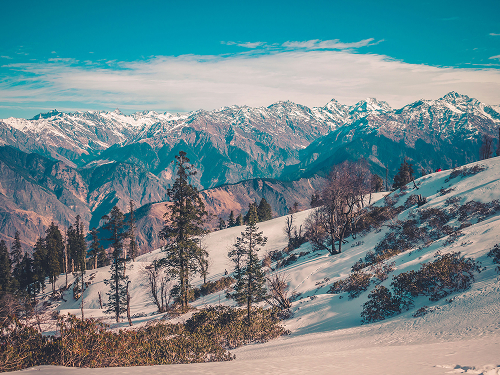 Auli