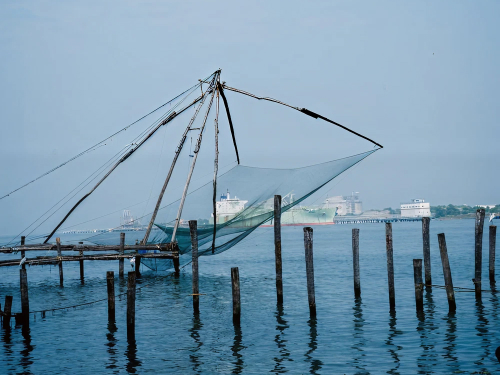 Kochi (Fort Kochi)