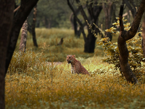 Namdapha National Park