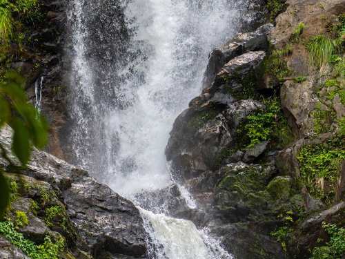 Wayanad